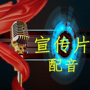 黑龍江企業(yè)宣傳公司總結(jié)企業(yè)宣傳片制作配音細(xì)節(jié)要求